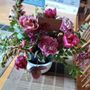 Photo of Mum's Flowers