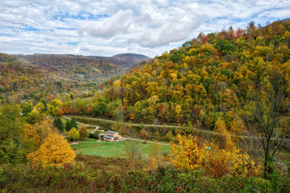 Still Hollow Spirits