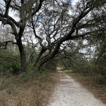 Lake Louisa State Park - Parks Near Me - Clermont, Florida