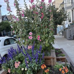 A few steps away from the cafe.