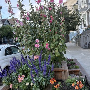 Le Cafe du Soleil - A few steps away from the cafe. - Coffee & Tea Near Me - San Francisco, California