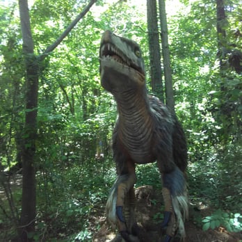 Birmingham Zoo - Zoos Near Me - Birmingham, Alabama
