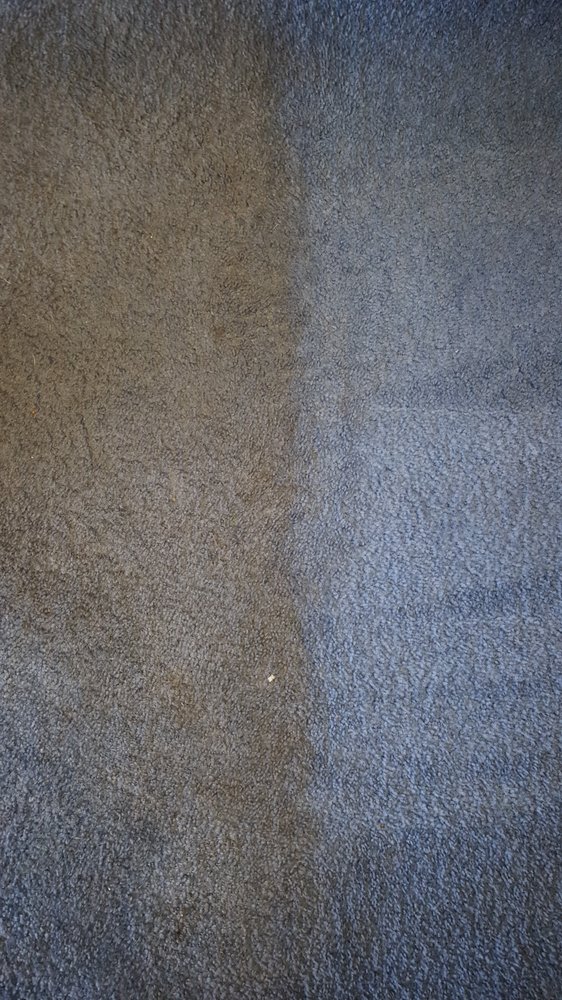 CLEANING INNOVATIONS CARPET CLEANING Updated July 2024 500 Regis