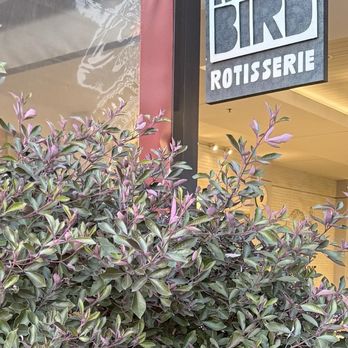 Noble Rotisserie - Signage - Chicken Shop Near Me - Long Beach, California
