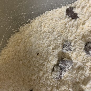 Walmart Supercenter - Bugs in cookie mix - Department Stores Near Me - Oklahoma City, Oklahoma Walmart Supercenter - Bugs in cookie mix - Department Stores Near Me - Oklahoma City, Oklahoma