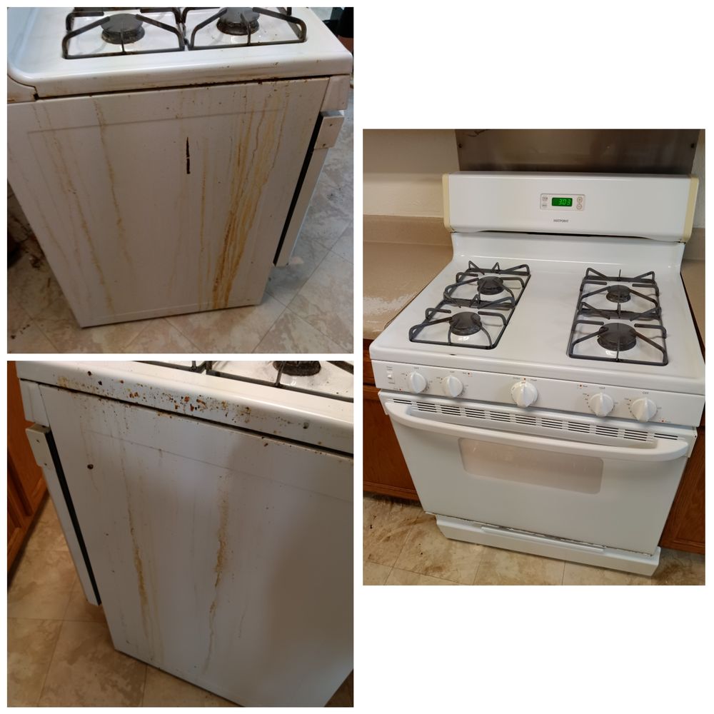 CRYSTAL CLEAN Updated March 2024 135 Shady Oaks Ln, Belle Chasse