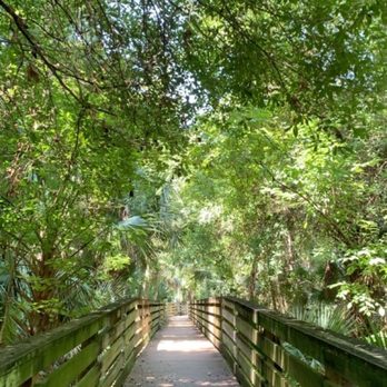 Black Hammock Wilderness Area and Trail - Parks Near Me - Oviedo, Florida Black Hammock Wilderness Area and Trail - Parks Near Me - Oviedo, Florida