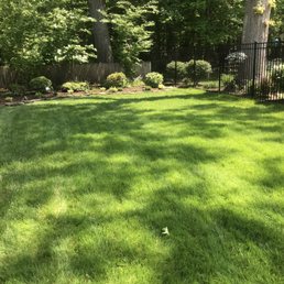 Backyard Backyard