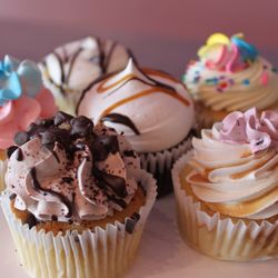 Sugardarlings Cupcakes - So many flavors you can't pick just one!
