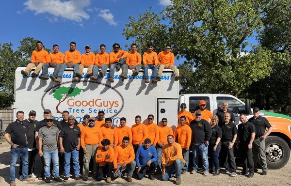Good Guys Tree Service