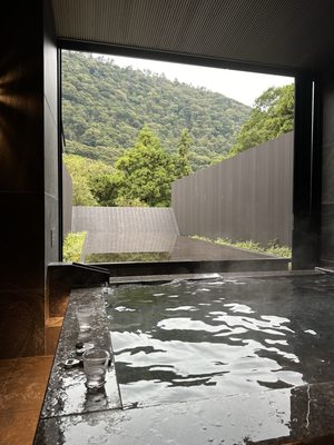 Odakyu Hotel Hatsuhana by null