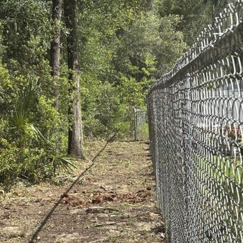 Abc Sitework - Tree Services Near Me - Dunnellon, Florida Abc Sitework - Tree Services Near Me - Dunnellon, Florida