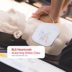 Safety Training Seminars - BLS Heartcode eLearning Course in Petaluma
