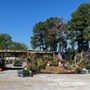 Bayless Greenhouses