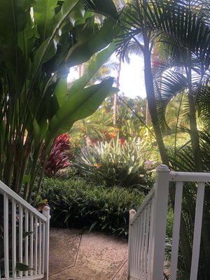 Pineapple Inn Maui by null