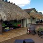 Tropical Tiki Huts