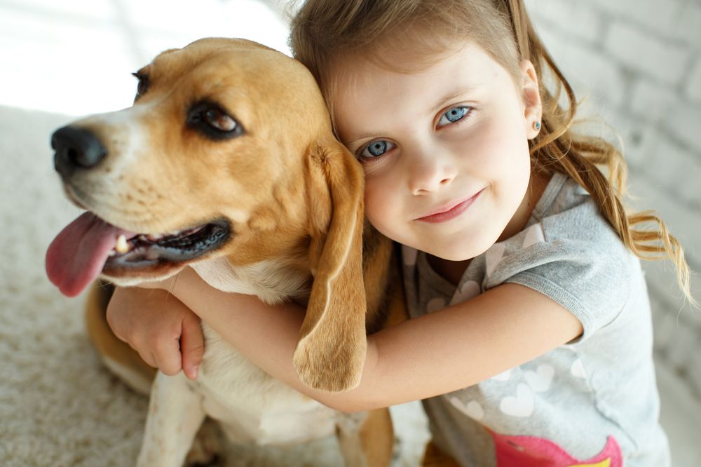 HAPPY PETS INYOURHOME PET SITTING Updated October 2024 101