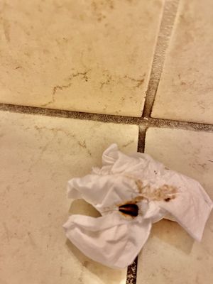 Macon Marriott City Center by null