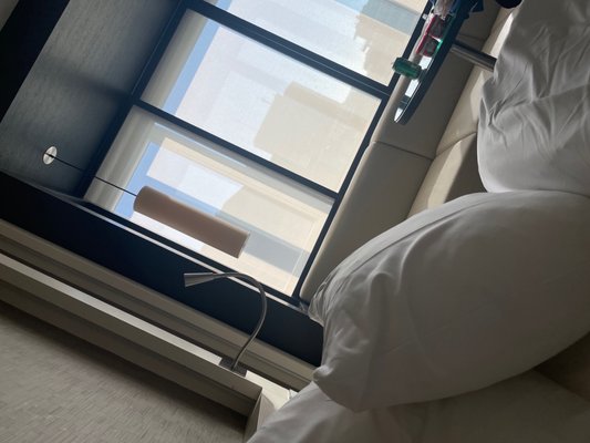 The Hotel Brussels by null