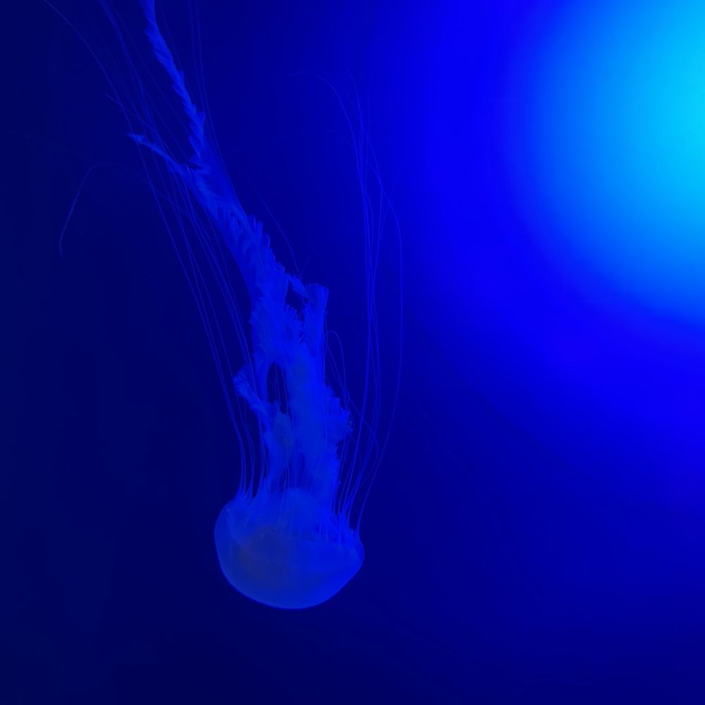 Texas State Aquarium - Aquariums Near Me - Corpus Christi, Texas Texas State Aquarium - Aquariums Near Me - Corpus Christi, Texas