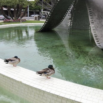 Veteran's Memorial Park - waiting for girls, by the pool - Parks Near Me - Culver City, California