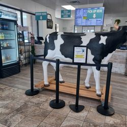 Meadows Frozen Custard - Latrobe - This space is large enough to fit a cow!