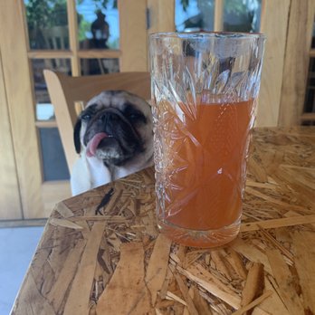 Uptowner Pub & Patio - Tio Rodrigo Craft Michelada! - Gastropubs Near Me - Yucaipa, California Uptowner Pub & Patio - Tio Rodrigo Craft Michelada! - Gastropubs Near Me - Yucaipa, California