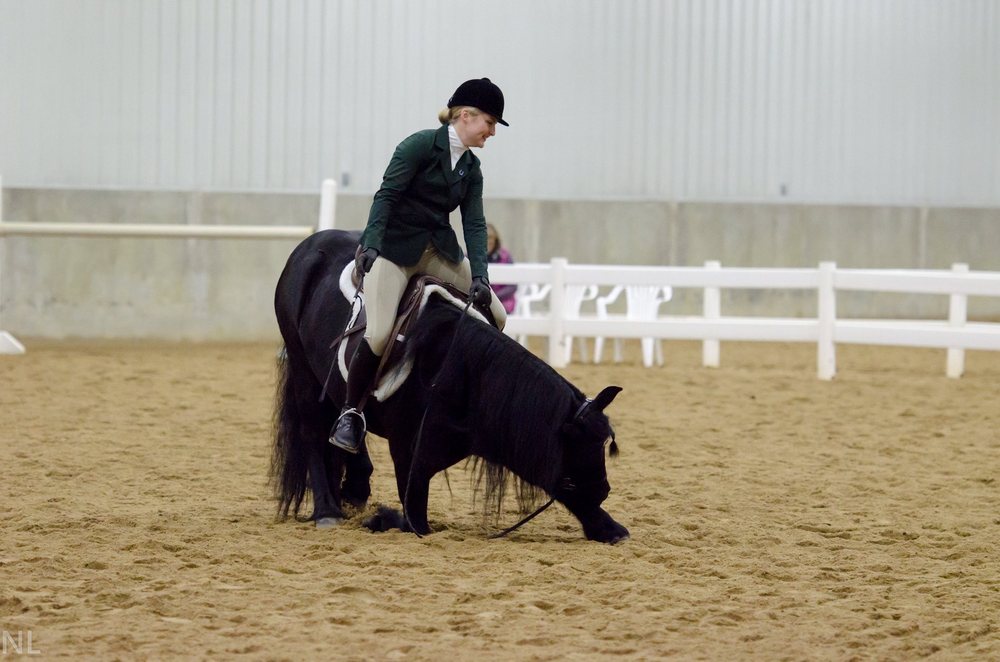 MOCTEZUMA STABLES with photos Updated August 2024 15 Photos 18520