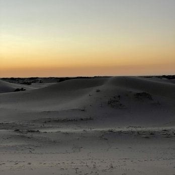 Monahans Sandhills State Park - Hiking Near Me - Monahans, Texas Monahans Sandhills State Park - Hiking Near Me - Monahans, Texas