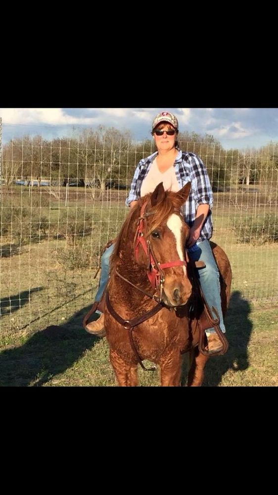 Silvermoon TLC - equestrian in Spencer, OK