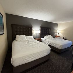 Drury Inn & Suites Columbia Stadium Boulevard - 2 queen beds