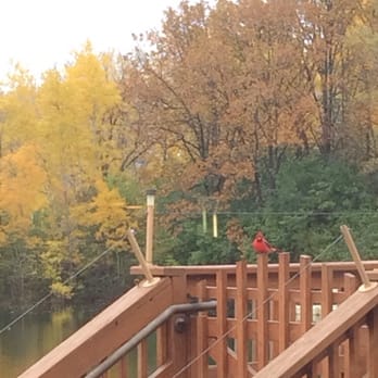 Julie's Cafe and Catering - Cardinal sighting. - American Near Me - Green Bay, Wisconsin