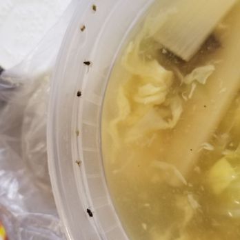 Grandview Palace - We ordered Egg Drop Soup but we got Bug Drop Soup instead - Chinese Near Me - Pasadena, California