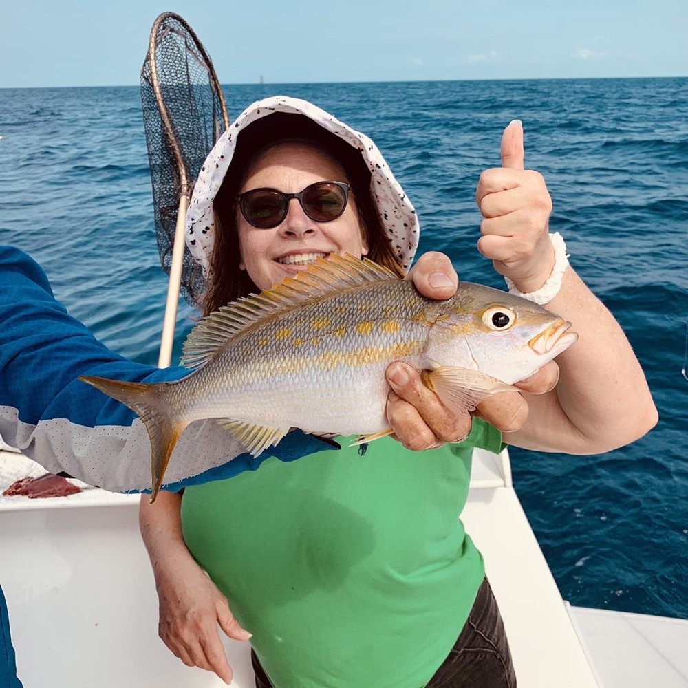 Pepe's Charters - Yellow Tail Snapper - Fishing Near Me - Key West, Florida Pepe's Charters - Yellow Tail Snapper - Fishing Near Me - Key West, Florida