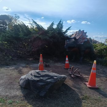 Jerrassic Park - Parks Near Me - Virginia Beach, Virginia