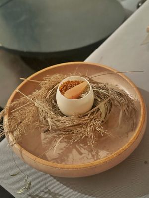 Honey Badger by null Honey Badger by null