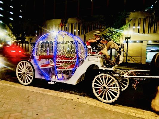 The Peabody Memphis by null