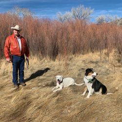 Roger Ayres ..  Animal Communicator at Wendy Jordan Healing Arts