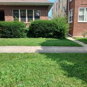 AKUI’s Greener Path - Before and after - Lawn Services Near Me - Chicago, Illinois AKUI’s Greener Path - Before and after - Lawn Services Near Me - Chicago, Illinois
