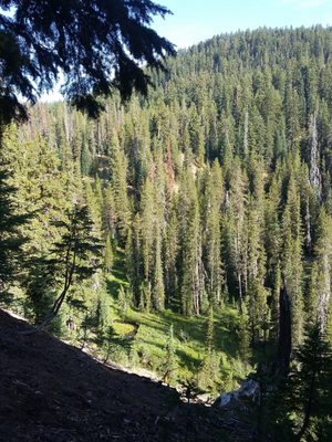 Mazama Village Campground & Cabins by null