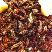 Photo of La Oaxaqueña - San Francisco, CA, United States. fried grasshoppers, son