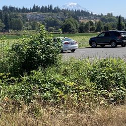 Milton Interurban Trail - The Fife parking lot for the Milton Interurban trail