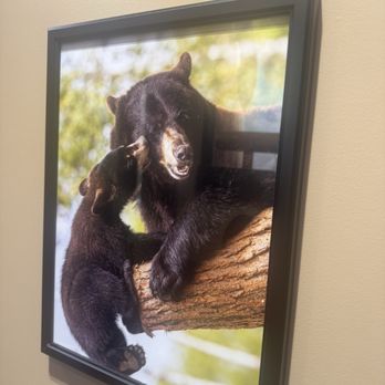 Black Bear Diner Salem - Photo on the wall - Diners Near Me - Salem, Oregon