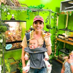 Lizards for Kids & More