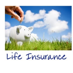 Maxwell Insurance Group