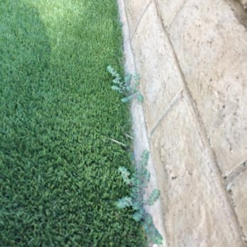 Green-R Turf - Weeds along the edge. - Artificial Turf Near Me - Corona, California Green-R Turf - Weeds along the edge. - Artificial Turf Near Me - Corona, California