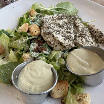 Water Oak Cafe & Bakery - Chicken and kale Caesar salad - Breakfast & Brunch Near Me - Webster, Texas Water Oak Cafe & Bakery - Chicken and kale Caesar salad - Breakfast & Brunch Near Me - Webster, Texas