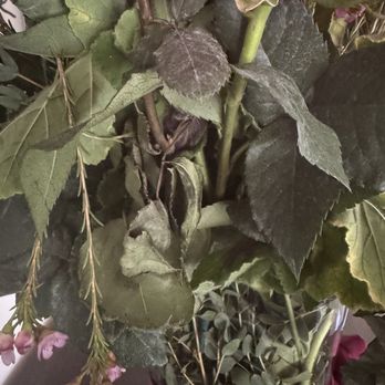 Riley's Flowers - Florists Near Me - Santa Barbara, California