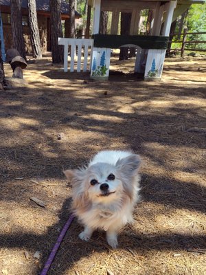 The Arboretum at Flagstaff by null