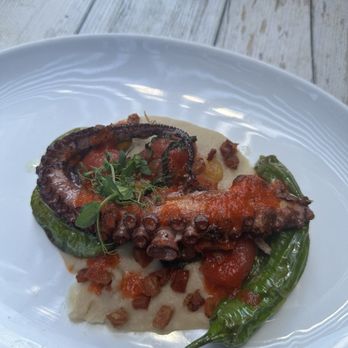 Lupo Marino - Grilled Octopus - Pizza Near Me - Washington, DC, District of Columbia Lupo Marino - Grilled Octopus - Pizza Near Me - Washington, DC, District of Columbia